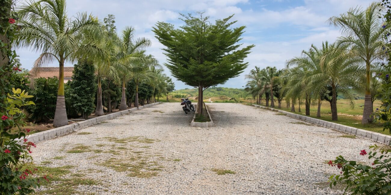 WhatsApp Image 2026-01-26 at 5.56.10 PM (1)