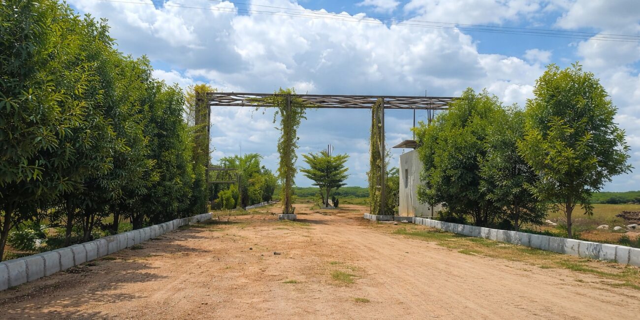 WhatsApp Image 2026-01-26 at 5.56.10 PM