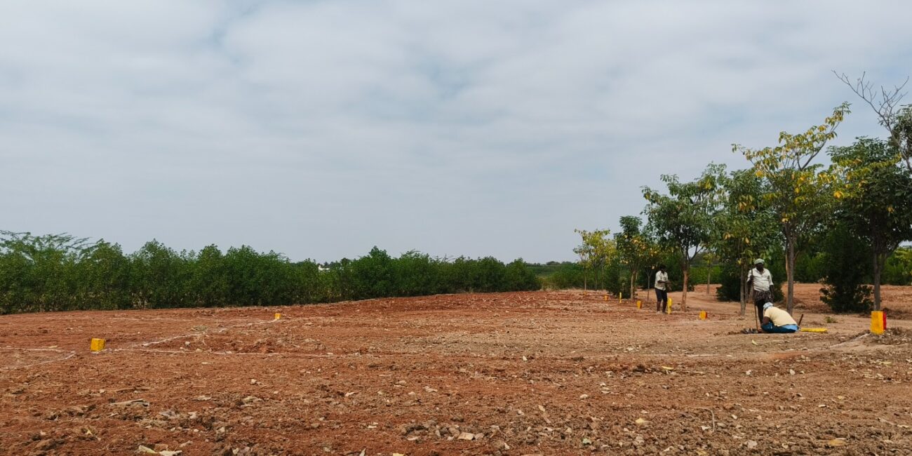 WhatsApp Image 2026-01-26 at 5.56.48 PM