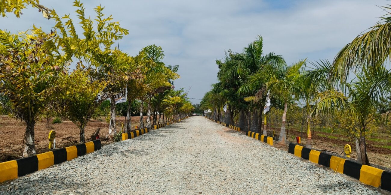 WhatsApp Image 2026-01-26 at 5.56.50 PM